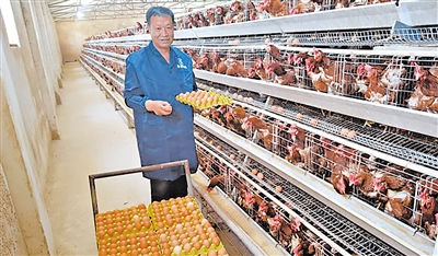     樊永宏成立宏科农民养殖专业合作社。