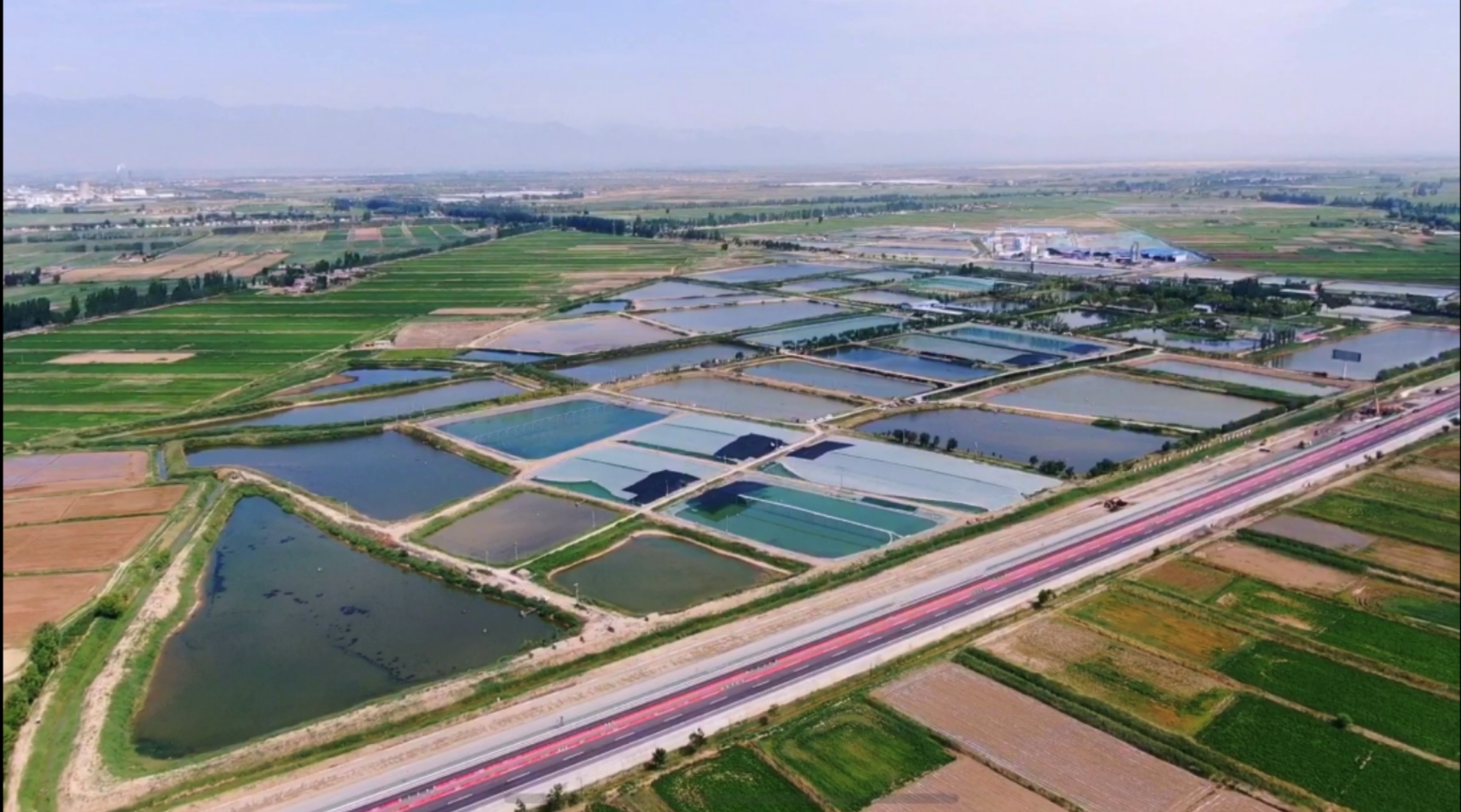 水产养殖不向黄河排一滴废水?这个清华团队在宁夏做到