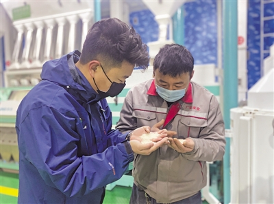 <p>　　赵凯（左）和员工查看加工后的大米精度。</p>