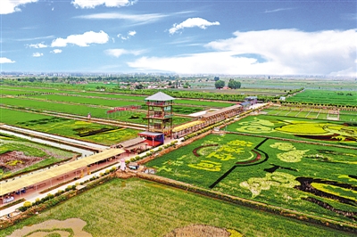 <p>　　贺兰县稻渔空间</p>