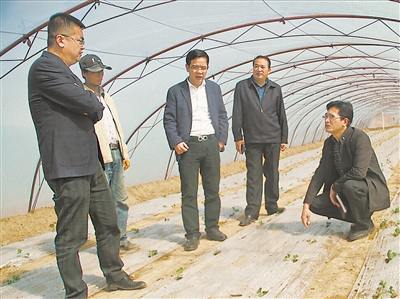 <p>　　徐情根（右一）和吕培基（左三）考察产业发展情况。</p>