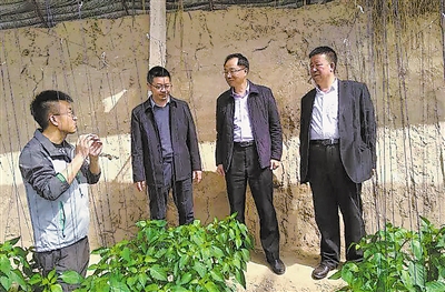 <p>　　（本版图片均资料图片）</p><p>　　福建援宁工作队干部林其煌（左二）在温棚里了解情况。</p>