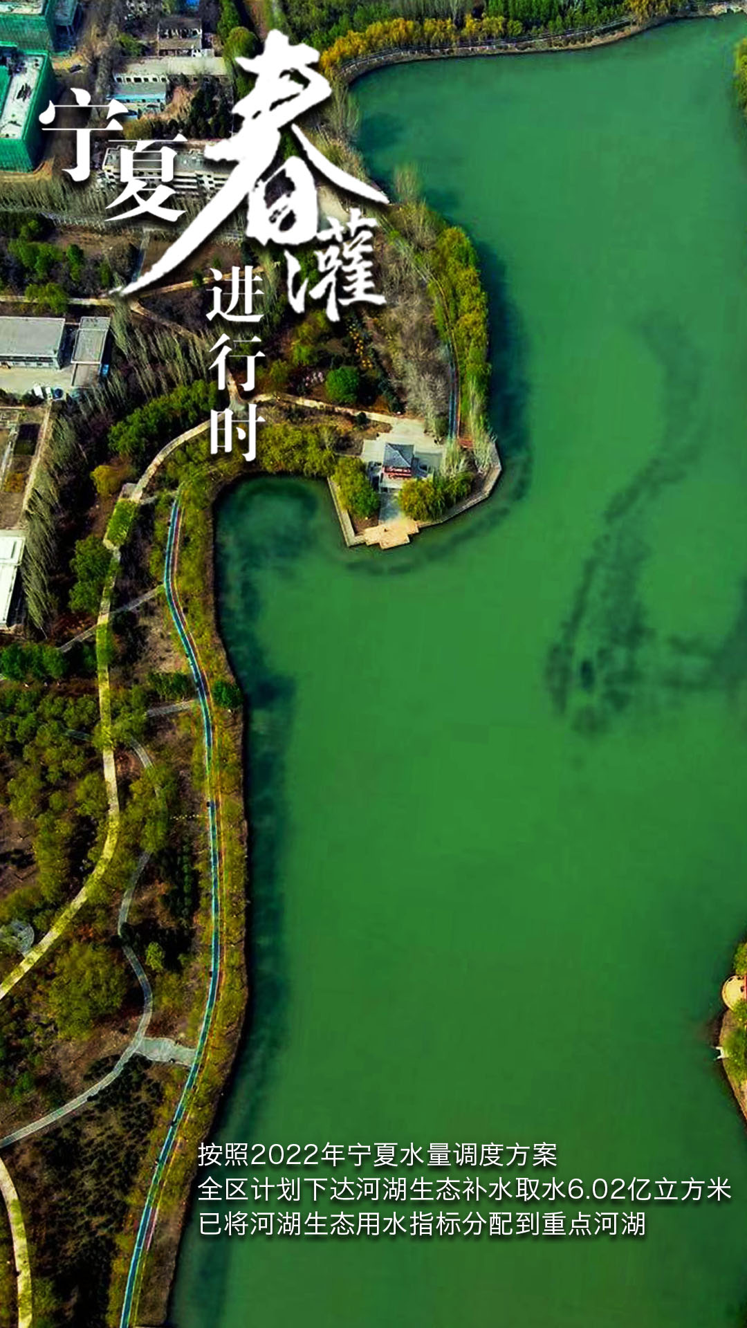 生态补水1.jpg