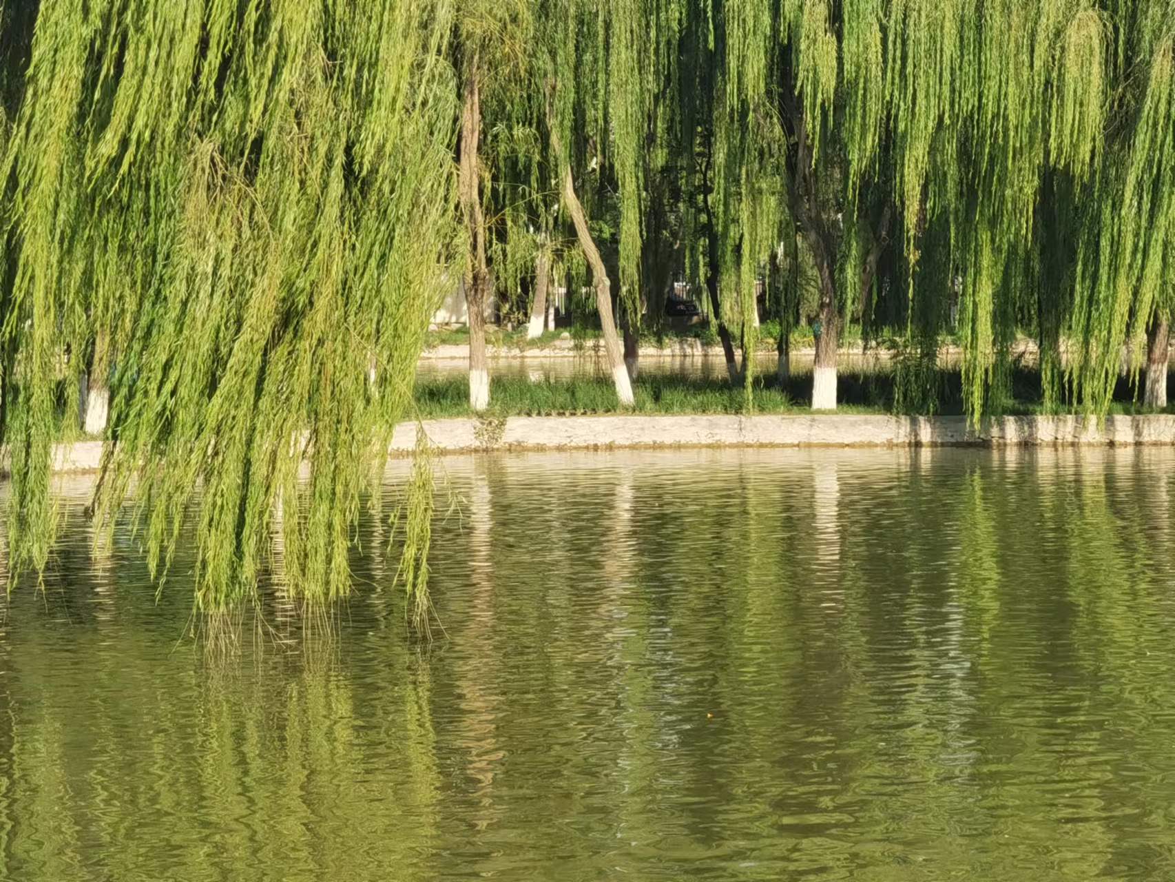 image (2).jpg