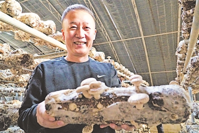 <p>　　王航向记者展示温棚里种植的香菇。</p>