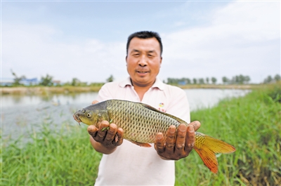 <p>　　近年来，贺兰县每年的渔业产量都在4万至5万吨，经济总产值5亿元左右。</p><p>　　（资料图片）　</p>