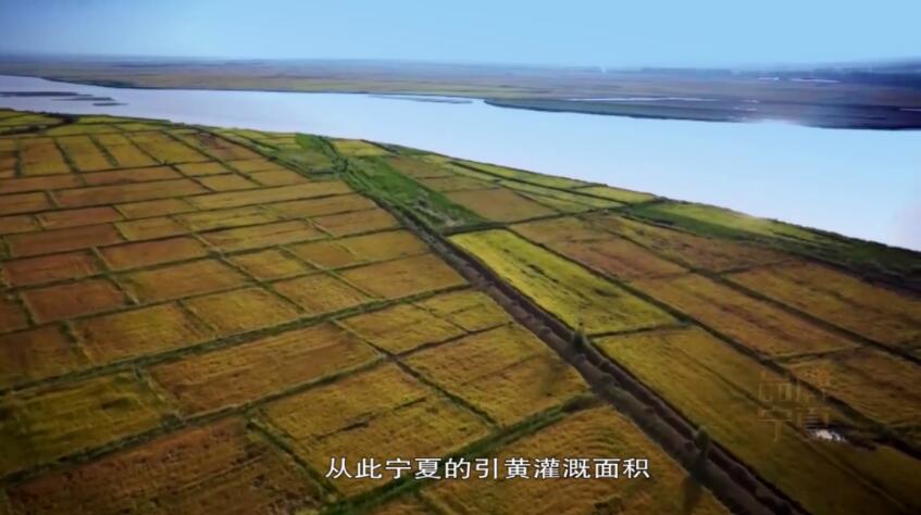 QQ截图20200529183408.jpg QQ截图20200529183408.jpg