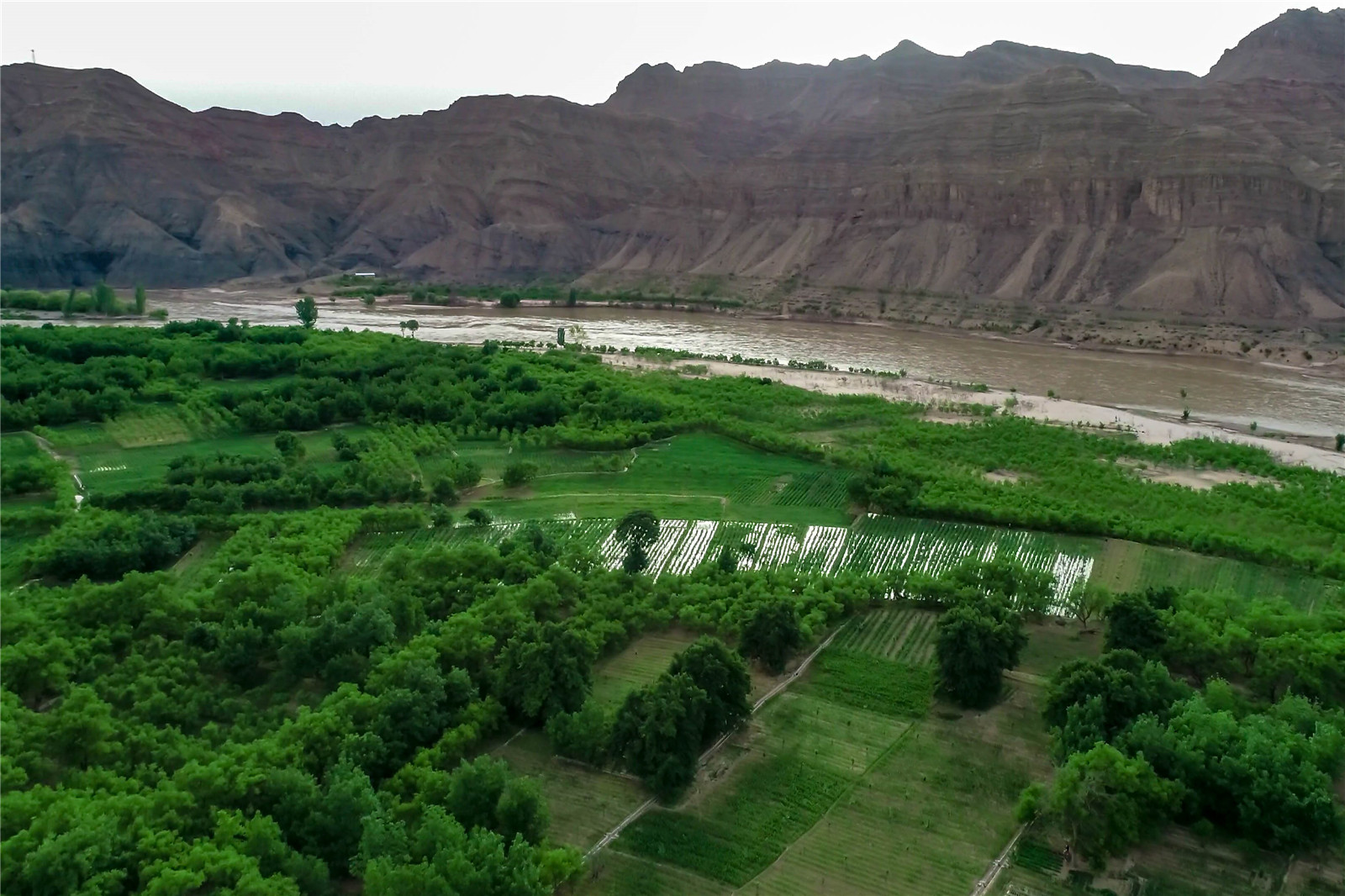 DJI_0242.jpg