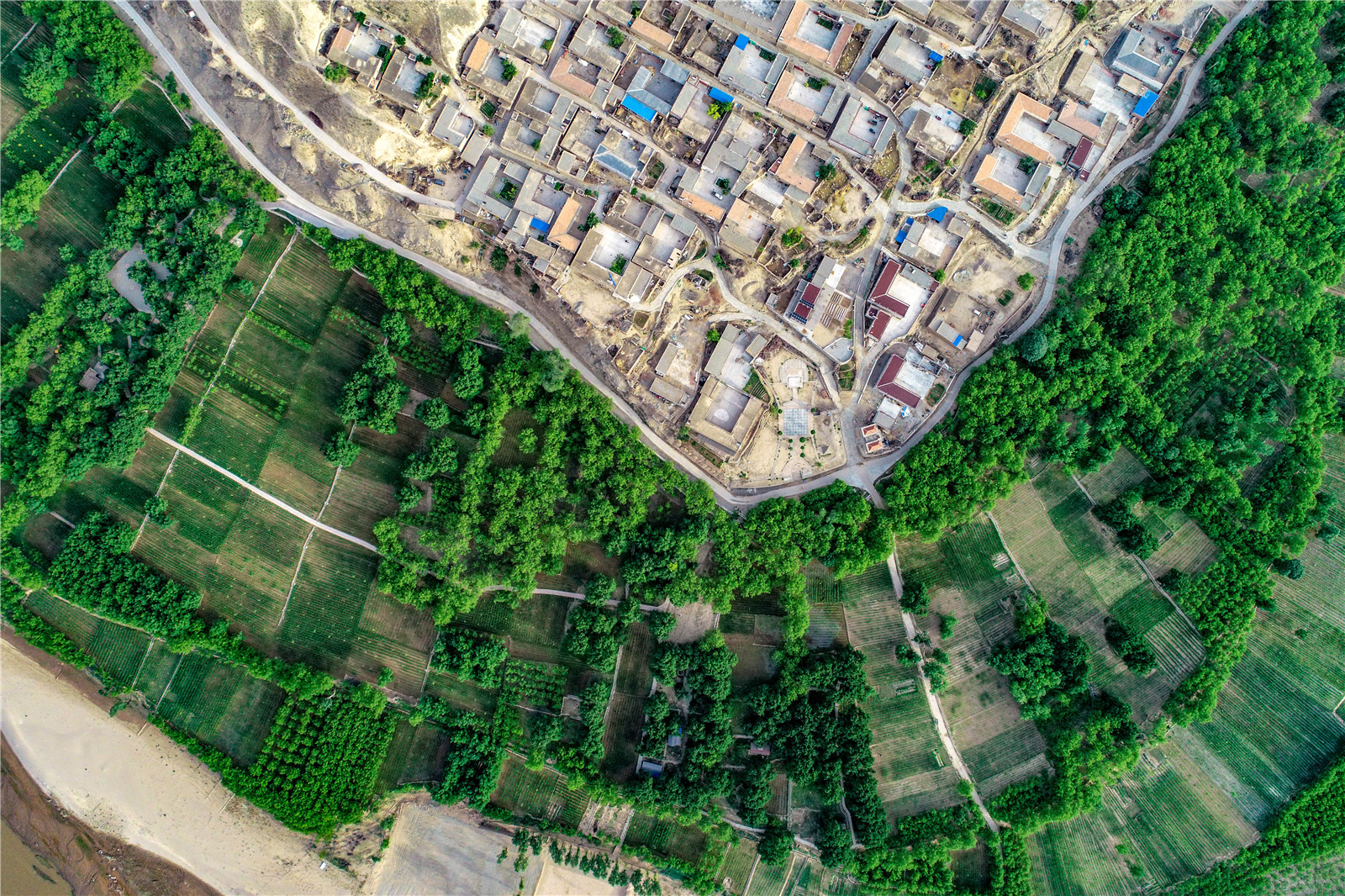 DJI_0288.jpg