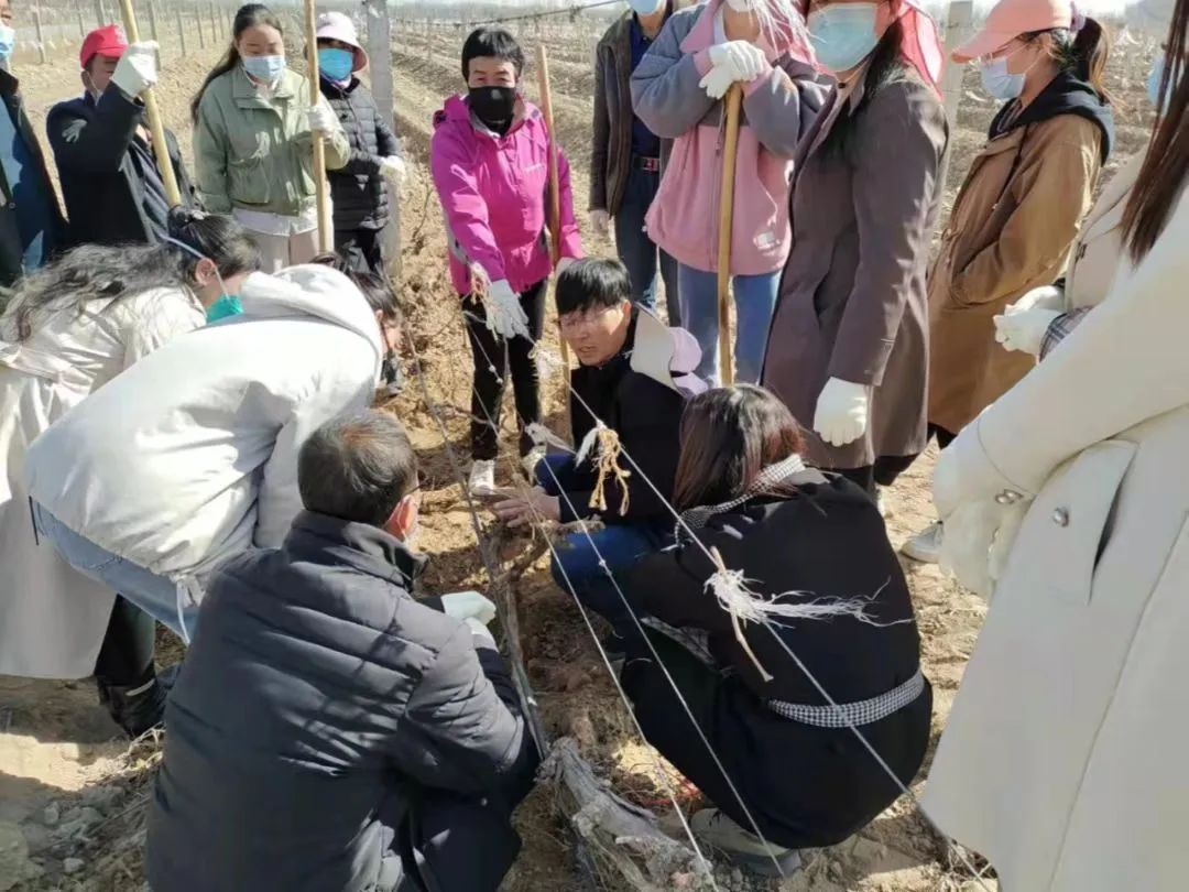 微信图片_20220519184722.jpg