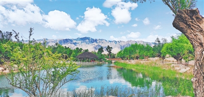 <p>　　贺兰山生态环境保护成效显著。</p>