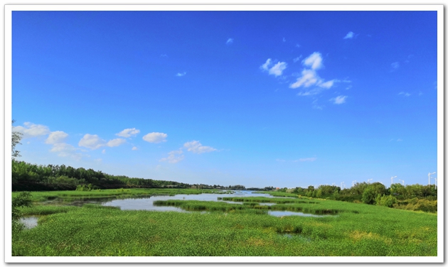 A07    黄河国家湿地公园1.jpg