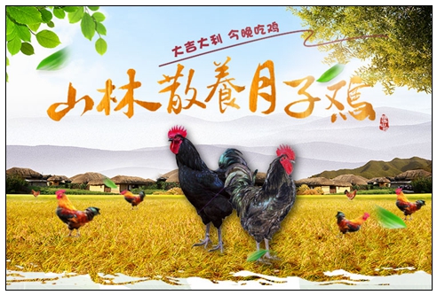 月子鸡.jpg