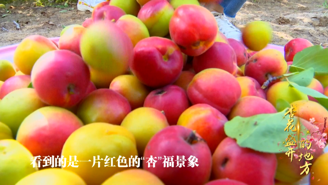 微信图片_20210624153228.png
