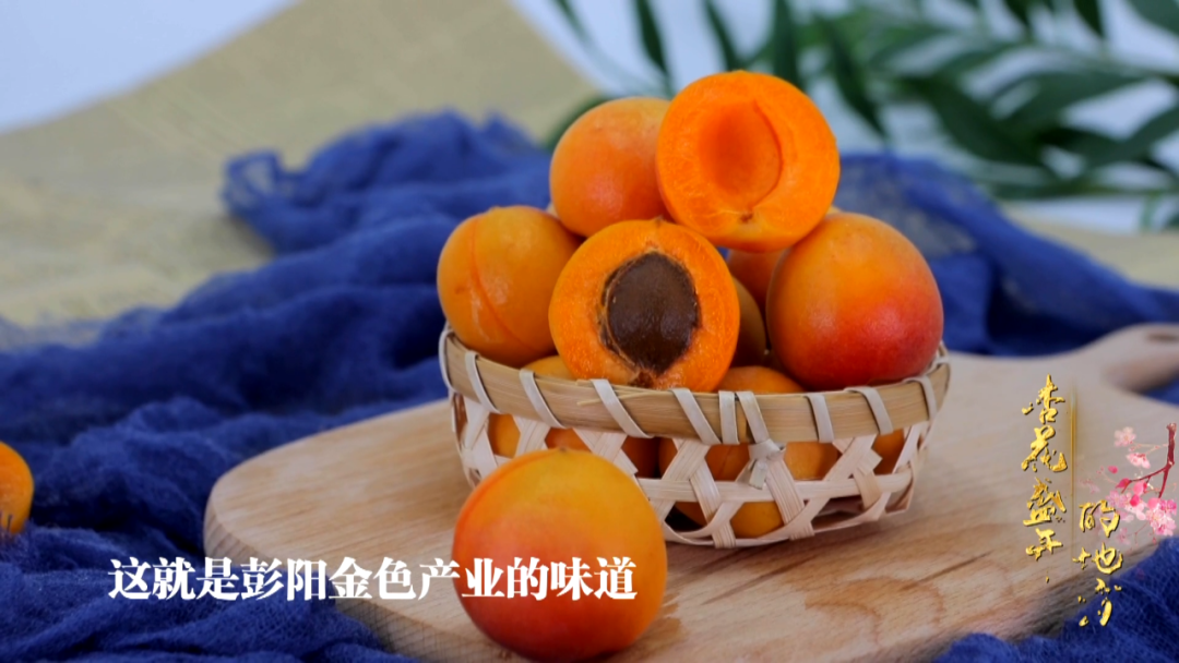 微信图片_20210624153617.png