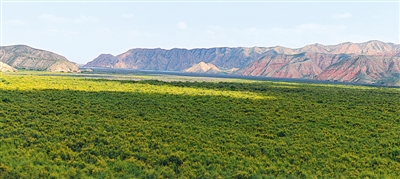 CgsCHWD0pH2AQflyAAFEbxGQsck570.jpg