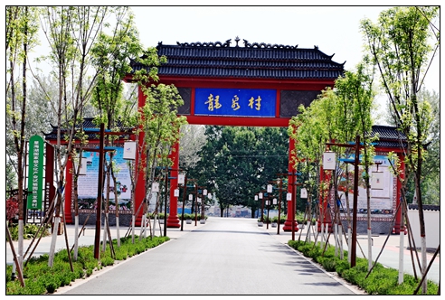 大武口龙泉村
