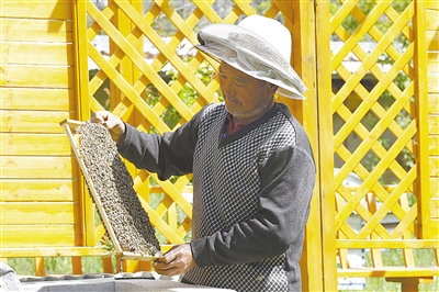 <p>　　泾源县泾六盘蜂业养殖专业合作社，工人查看蜜蜂生长情况。</p>