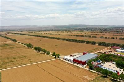 <p>高空俯瞰窖坑子村芦笋种植基地。　本报记者　杜晓星　实习生　彭斌　摄</p>