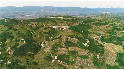 <p>　　造林绿化。</p>