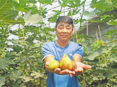 <p>　　蜜瓜、无花果、奶牛养殖……月牙湖乡抓住产业扶贫这个关键词，推进一二三产业融合发展。</p>