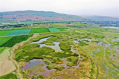 <p>流经硝河乡的葫芦河为该乡发展草畜产业提供水源保障。</p>
