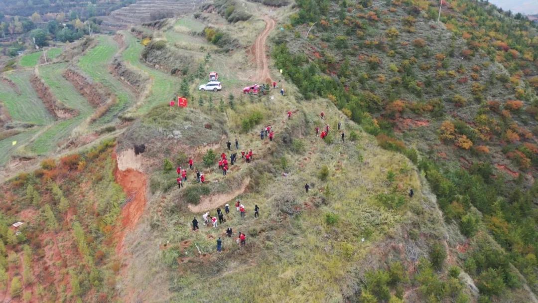 10月17日,隆德县组织干部职工在北象山开展义务植树活动.