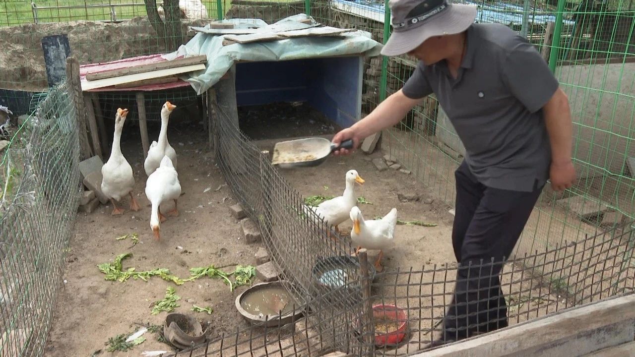 微信图片_20230728204248.jpg