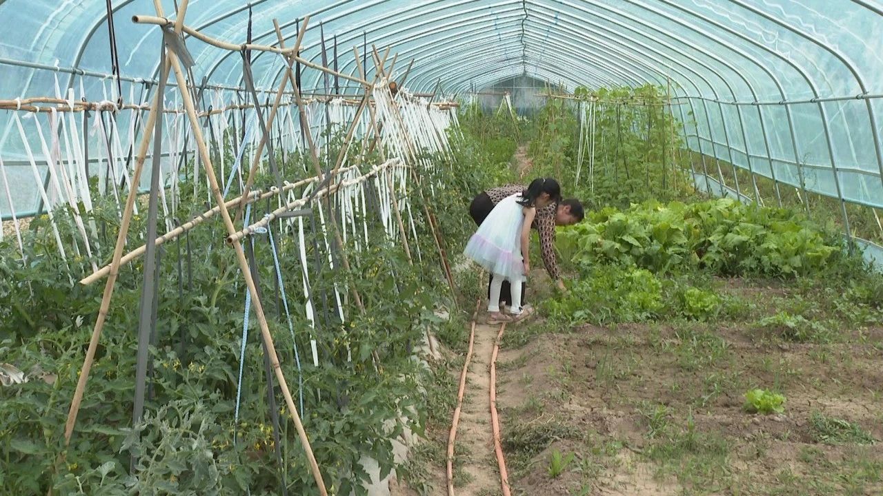 微信图片_20230728204251.jpg