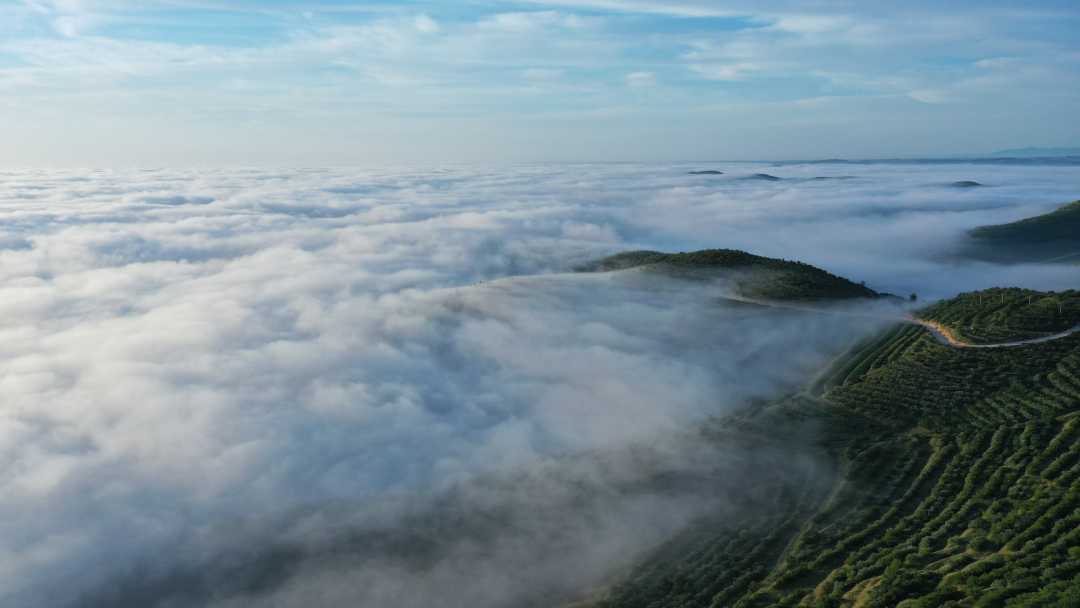 DJI_0729.JPG