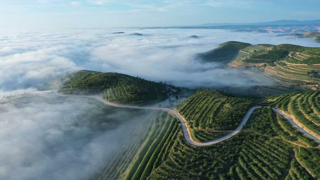 DJI_0749.JPG