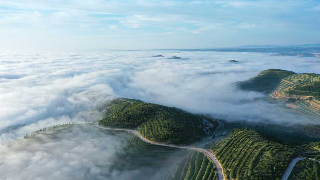 DJI_0753.JPG