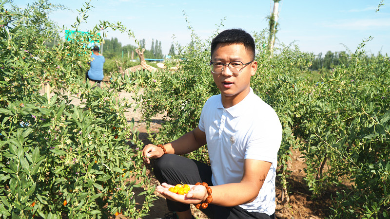 DSC07677_副本.jpg