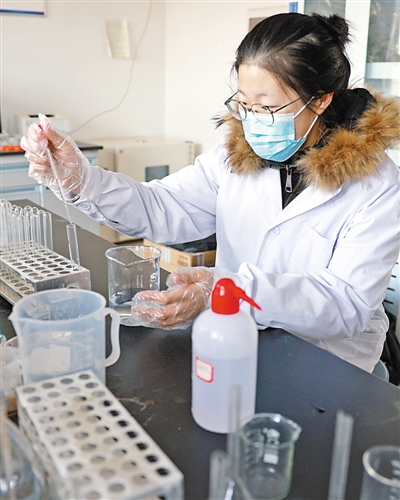 <p>　　宁夏西海固高端牛产业研究院饲料营养研究室，西北农林科技大学学生在进行实验。</p>