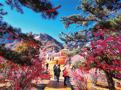 春节假期银川市实现旅游总收入1.14亿元