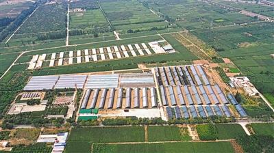 <p>　　新堡镇“跨村联建”。</p>