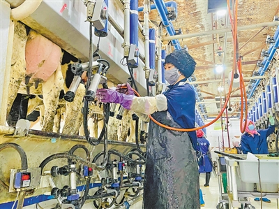 <p>　　青铜峡市永青奶牛养殖专业合作社的工人用小口径水管冲洗奶瓶，在生产的各环节中体现节水意识。</p><p>　　本报记者　陈瑶　摄</p>