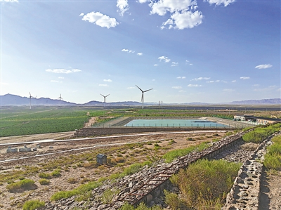 <p>高效节水灌溉为青铜峡鸽子山地区带来勃勃生机。本报记者　张国长　摄</p>