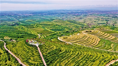 <p>　　建立从生态项目到生态资产转化机制，促进植绿增绿。</p>