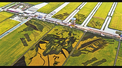<p>　　四十里店稻渔空间。</p>