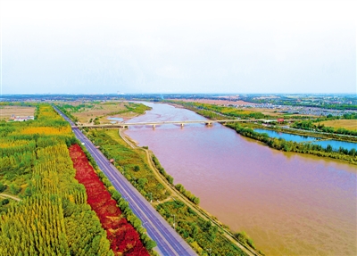 p 空中俯瞰滨河大道青铜峡段,黄河湿地唯美壮阔,湿地面积的扩大和
