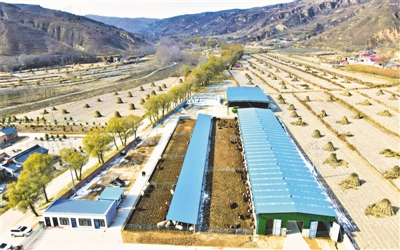 <p>　　草畜产业稳定发展。</p>