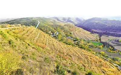 <p>　　补植补造添绿。</p>