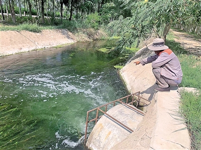 <p>　　治理后的銀新干溝水清岸綠,。</p>