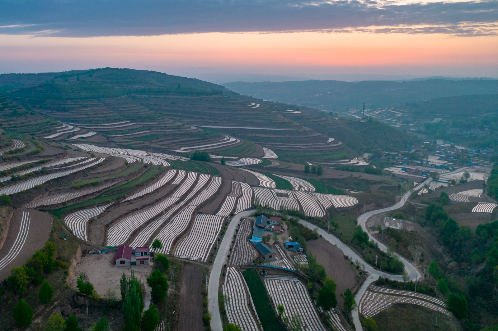 DJI_0487.jpg