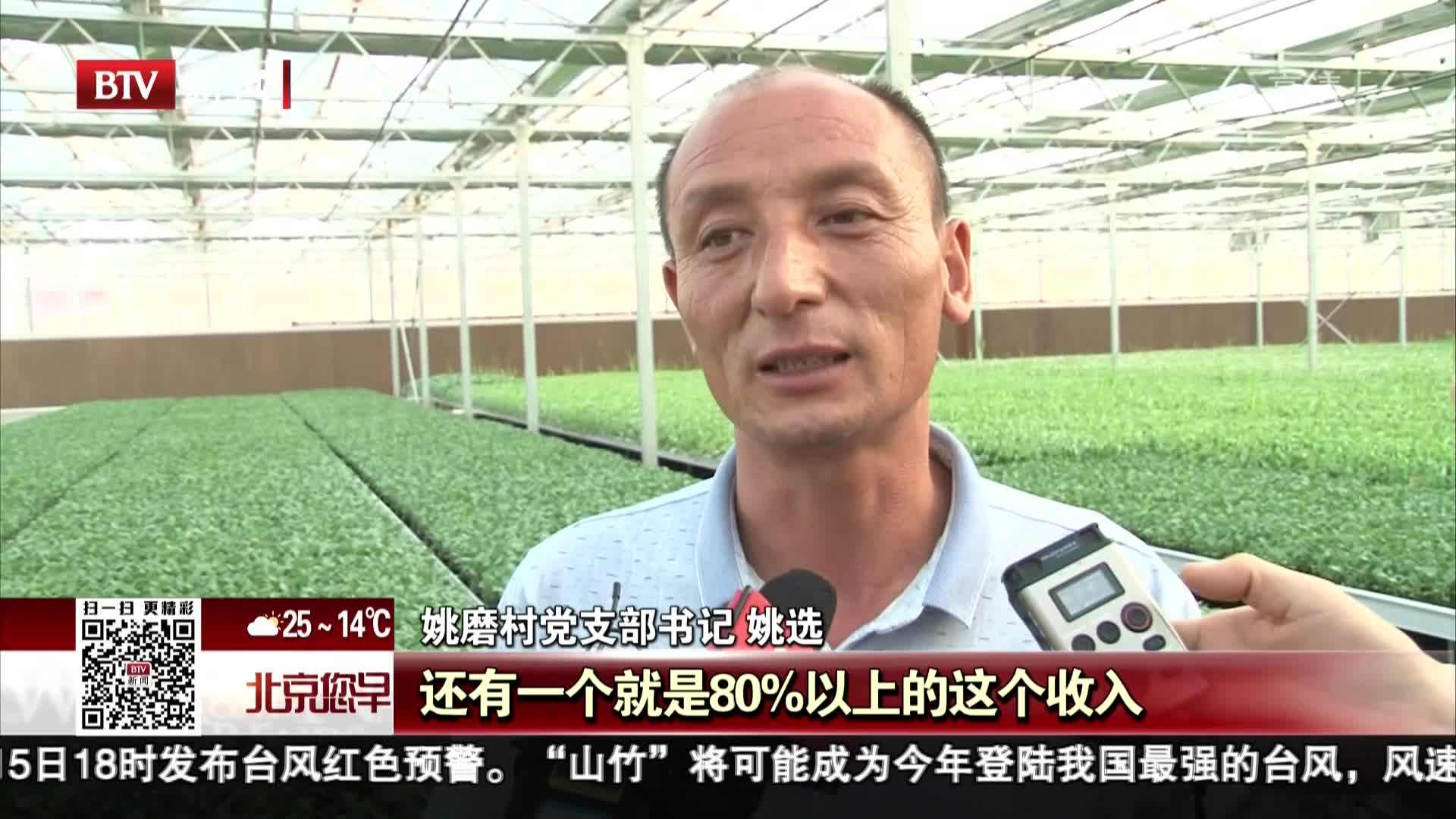 姚选.jpg