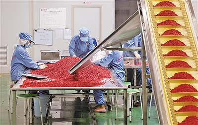 <p>宁夏沃福百瑞生物食品工程有限公司，工人在分拣枸杞。　本报记者　党硕　摄</p>
