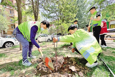 <p>　　2022年4月28日，志愿者们正在社区绿化用地上植树。当日，银川市兴庆区银古路街道景湖社区联合银古路司法所及宁夏义工志愿服务联合会共同开展我为家园添新绿志愿者植树活动。　　　　　　　　　　　　　　　　　　　　　　　　　　　　　　　　　　　　　本报记者　马楠　王洋　摄</p>