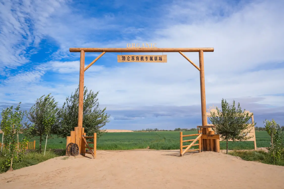 image005.png