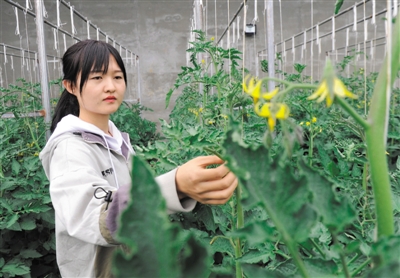 <p>　　龙头企业机械检修。</p>